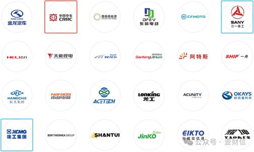 思客琦問詢回復引質疑 高管履歷披露存疑，信息咨詢服務成焦點